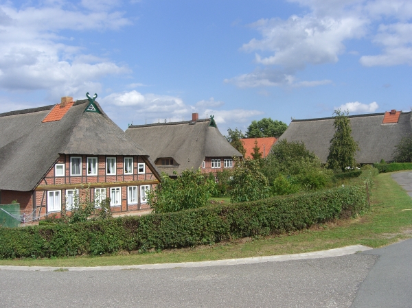 Konau