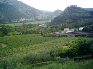Landschaft